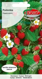 nasiona-poziomka-rujana-02g-torseed