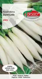 nasiona-rzodkiewka-do-uprawy-w-polu-sopel-lodu-10g-torseed