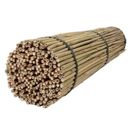 tyczki-bambusowe-120-cm-12-14-mm-250-szt-bambus
