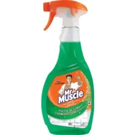 plyn-do-mycia-szyb-mr-muscle-500ml