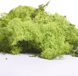 chrobotek-reniferowy-100g-zielony-dodatek-do-dekoracji-kompozycji-rodzaj-akcesoria