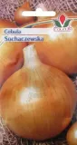 cebula-sochaczewska-5-g