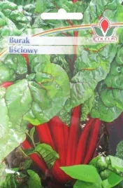 burak-lisciowy-10-g