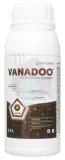 vanadoo-05-l-intermag