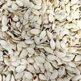 pestki-dyni-3kg-dynia-ziarno-w-lupinie-nie-luskane-pokarm-dla-papug