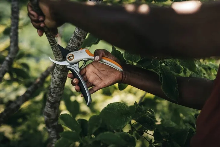 fiskars-bypass-secateurs-sekator-do-galezi-kod-producenta-10571681128801