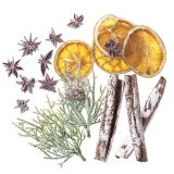 naturalne-elementy-19szt