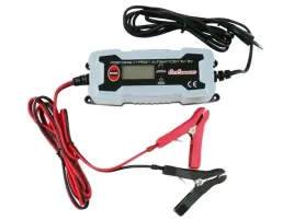 prostownik-cyfrowy-automatyczny-0-8a-3-8a-6v-12v