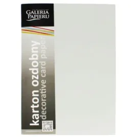 papier-ozdobny-karton-wizytowkowy-gladki-jasnoszary-satyna-210g-20-arkuszy