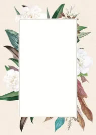 karton-ozdobny-dyplom-camellia-150g-25-arkuszy