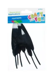 piorka-dekoracyjne-czarne-6szt