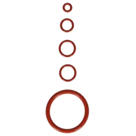komplet-uszczelek-do-ekspresu-saeco-xsmall-syntia-intelia-moltio-zamienniki