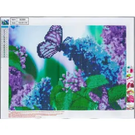 diamentowa-mozaika-5d-butterfly-30x40-80889