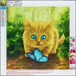 diamentowa-mozaika-5d-catandbutterfly-30x30-80884