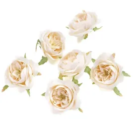 glowki-kwiatowe-kamelia-ecru-5cm-6szt