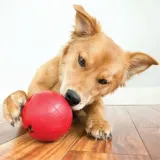 kong-biscuit-ball-l-stan-nowy