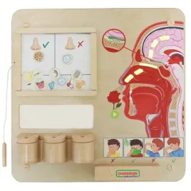 masterkidz-tablica-edukacyjna-zmysl-wechu-montessori