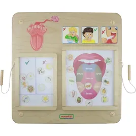 masterkidz-tablica-edukacyjna-zmysl-smaku-montessori