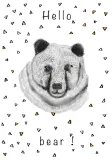hellobear-plakat-40x60-cm