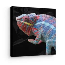 obraz-na-plotnie-canvas-kolorowy-kameleon-nowoczesna-fotografia-31x38