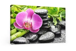 obraz-na-plotnie-canvas-zen-storczyk-kamienie-bambus-styl-spa-80x100