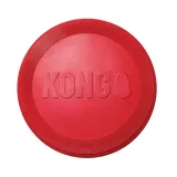 kong-flyer-l
