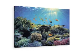 obraz-na-plotnie-canvas-podwodny-swiat-rafa-koralowa-kolorowe-ryby-31x38
