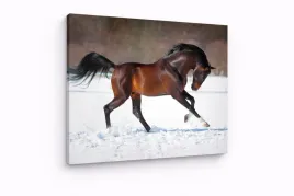 obraz-na-plotnie-canvas-galopujacy-kon-w-sniegu-krajobraz-70x80