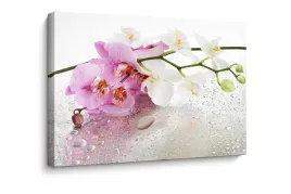 obraz-na-plotnie-canvas-orchidea-krople-wody-kwiaty-dekoracja-31x38