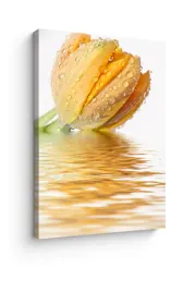 obraz-na-plotnie-canvas-tulipan-w-kroplach-wody-zlota-dekoracja-80x100