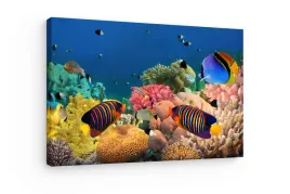 obraz-na-plotnie-canvas-tropikalne-ryby-rafa-koralowa-ocean-70x80