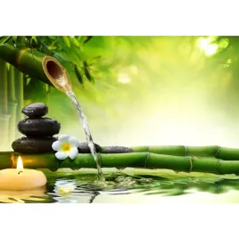 obraz-na-plotnie-canvas-zen-bambus-kamienie-woda-dekoracja-scienna-80x100