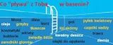 multi-tabletki-chlor-tabs-3w1-do-basenu-1kg-marka-gamix