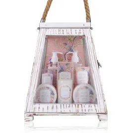 zestaw-podarunkowy-acccentra-do-kapieli-prysznic