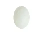 gra-screaming-egg-kura-dla-calej-rodziny