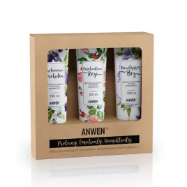 anwen-zestaw-odzywek-do-wlosow-o-wysokiej-porowatosci-3x100ml