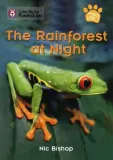 collins-reading-level-2-the-rainforest-at-night