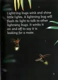 collins-reading-level-2-the-rainforest-at-night-autor-nic-bishop