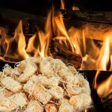 podpalka-bio-30-kg-stan-nowy