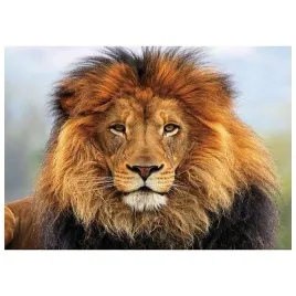 mozaika-diamentowa-5d-lew-40x30cm