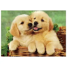 mozaika-diamentowa-5d-psy-40x30cm