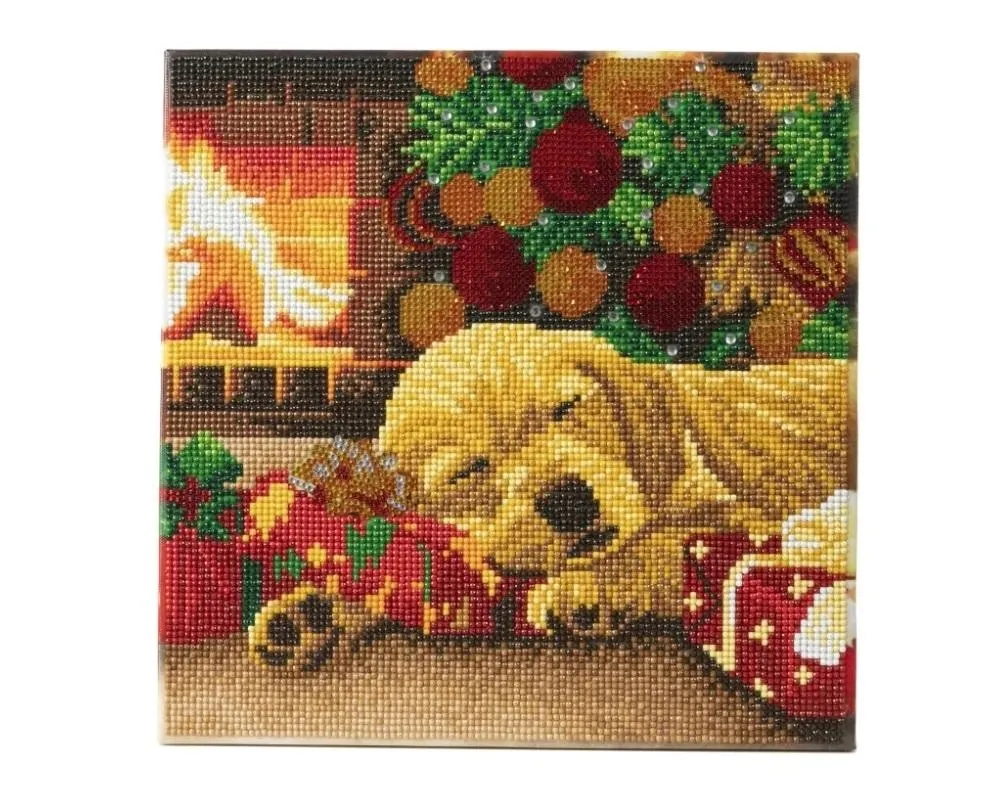 obraz-na-plotnie-30x30cm-z-mozaika-labrador