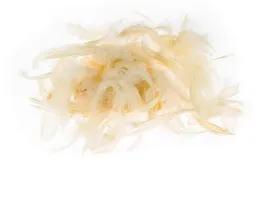 piora-ecru-5-12cm-7g