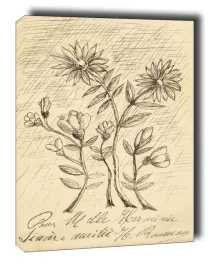 oak-branch-henri-rousseau-obraz-na-plotnie-40x50-cm
