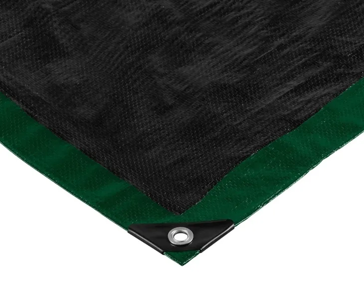 parkside-plandeka-100-g-m2-15-x-6m