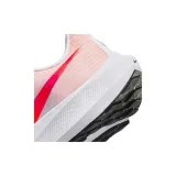 zoom-pegasus-39-marka-nike