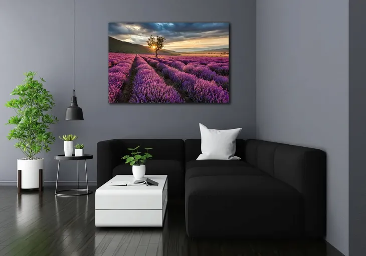 obraz-na-plotnie-pole-lawendy-100x70-cm-stan-nowy