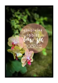 baw-sie-dobrze-storczyk-plakat-21x297-cm