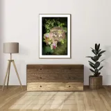 baw-sie-dobrze-storczyk-plakat-70x100-cm-stan-nowy