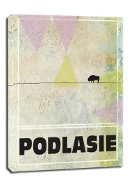 podlasie-obraz-na-plotnie-30x40-cm